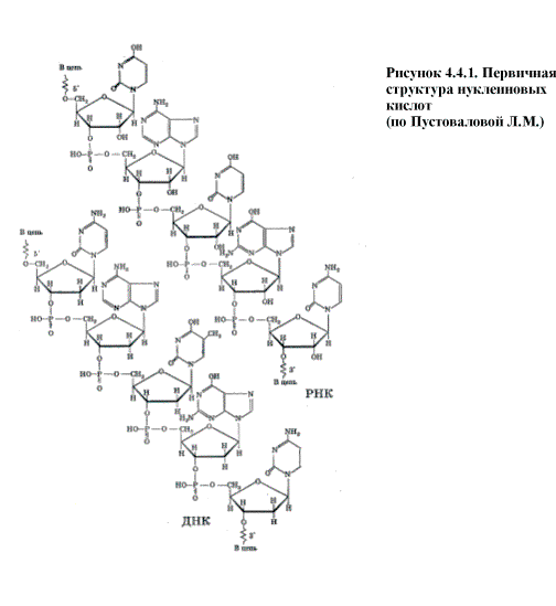 chlamydia doxycycline