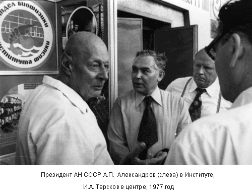 Президент АН СССР А.П. Александров (слева) в институте, И.А. Терсков в центре, 1977 год